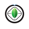 MongoDB